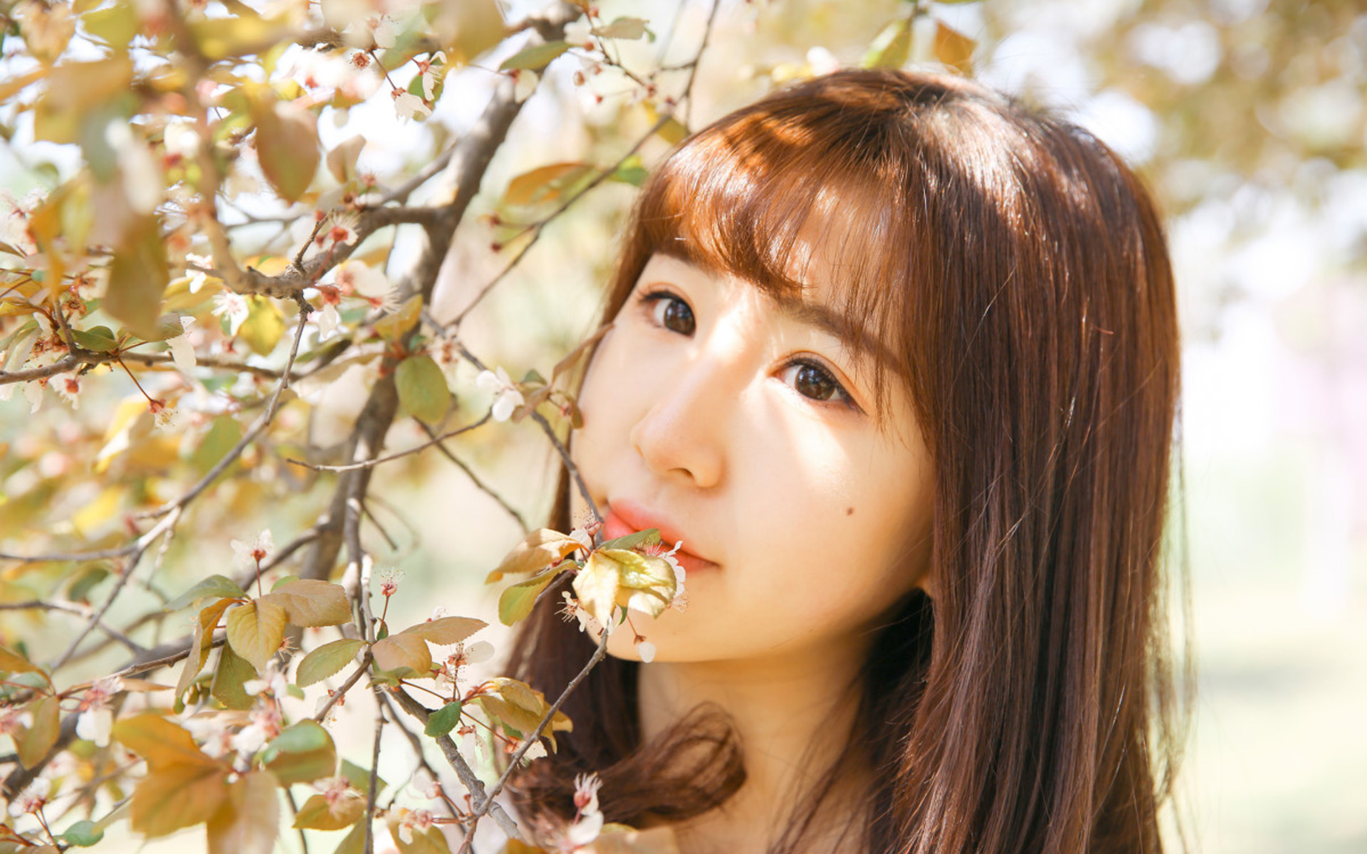 白嫩美女清新恬静写真图片电脑壁纸