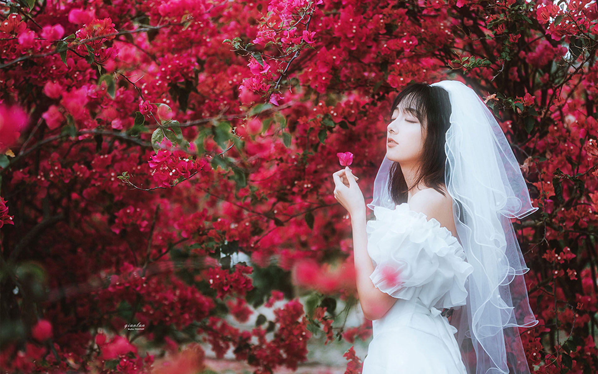 清纯纱裙美女甜美花丛写真高清壁纸