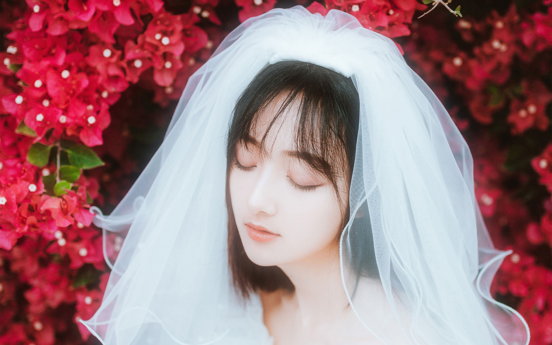 清纯纱裙美女甜美花丛写真高清壁纸