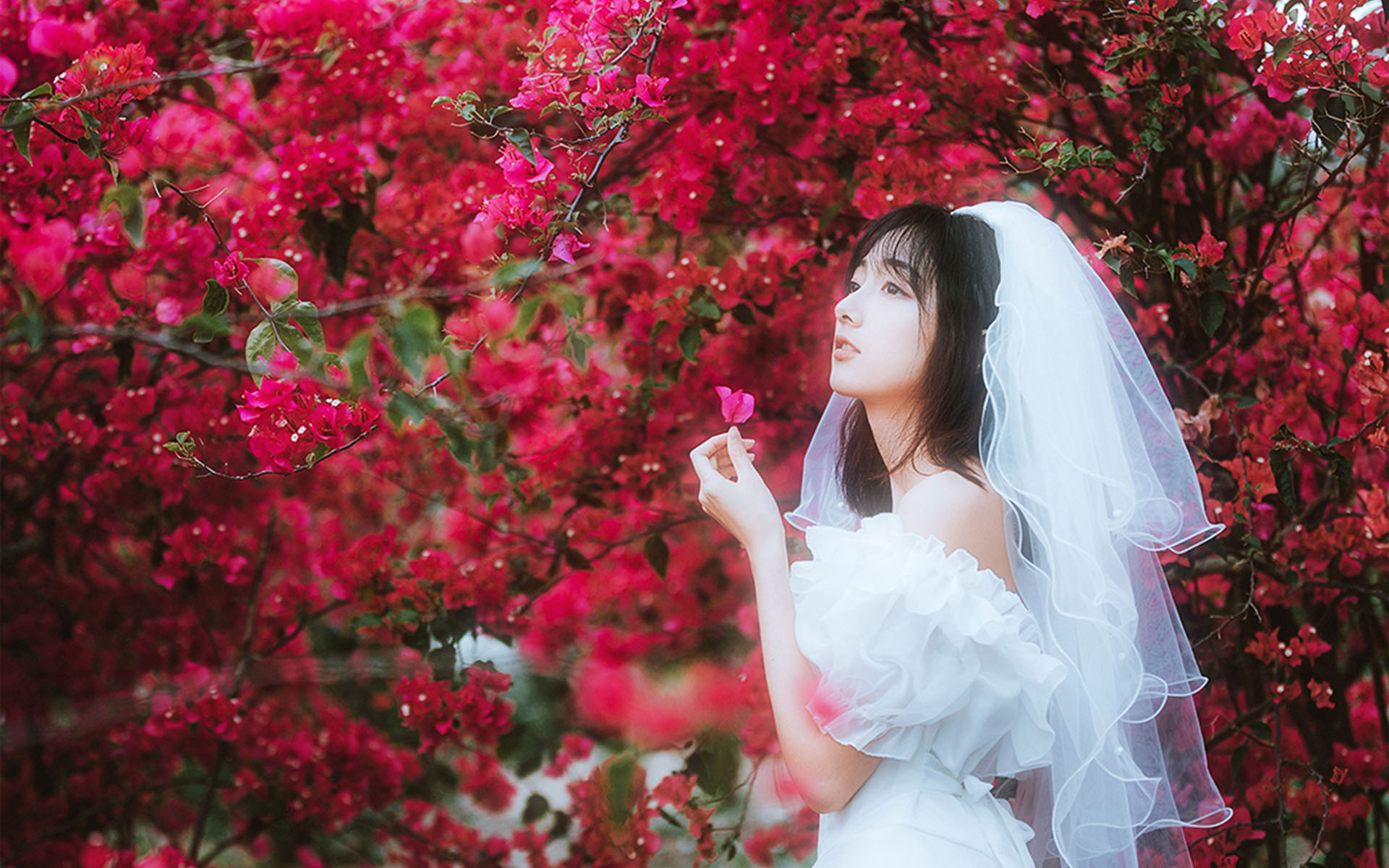 清纯纱裙美女甜美花丛写真高清壁纸