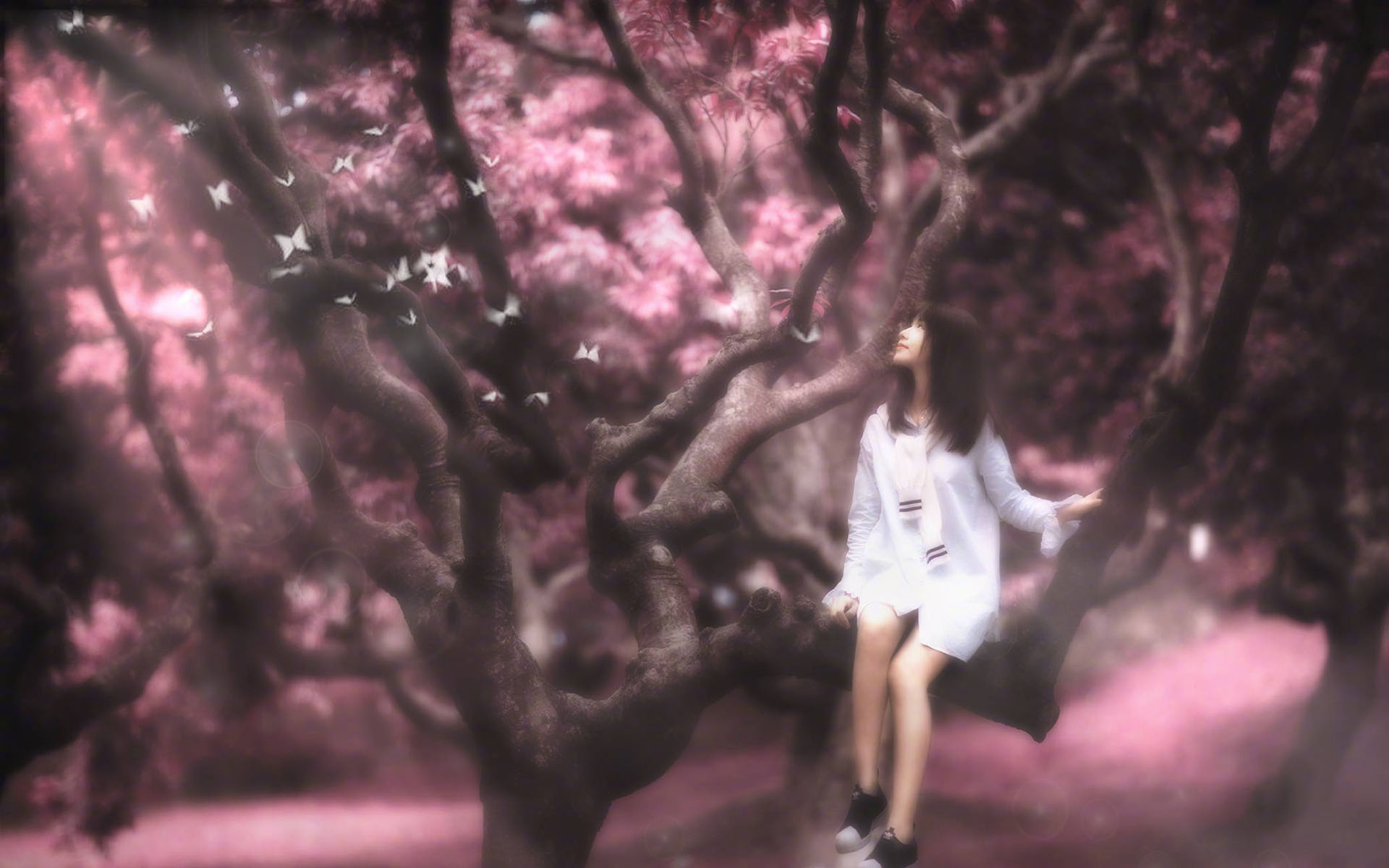 清纯美女学生妹朦胧高清桌面壁纸