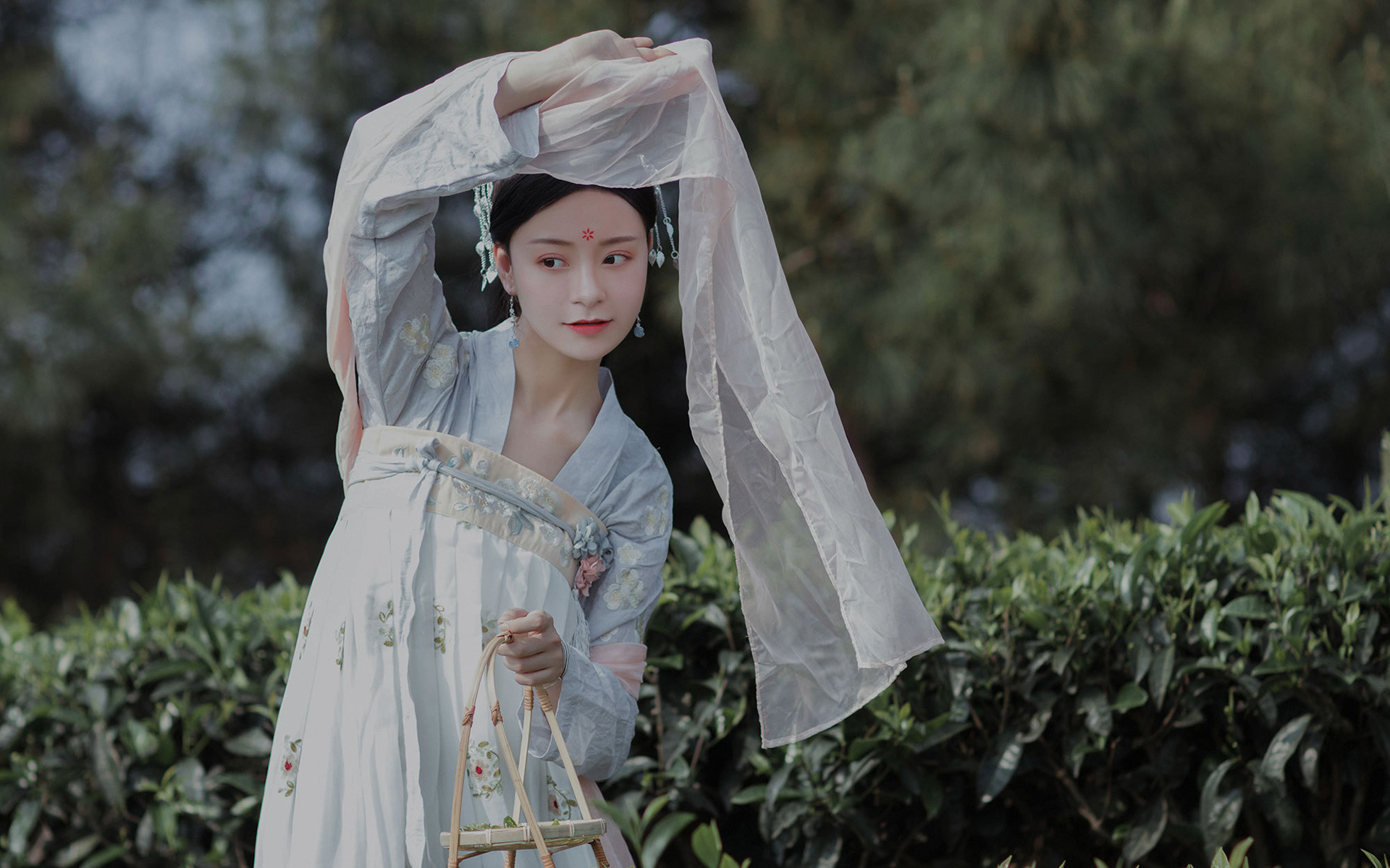 性感古装美女茶园高清桌面壁纸