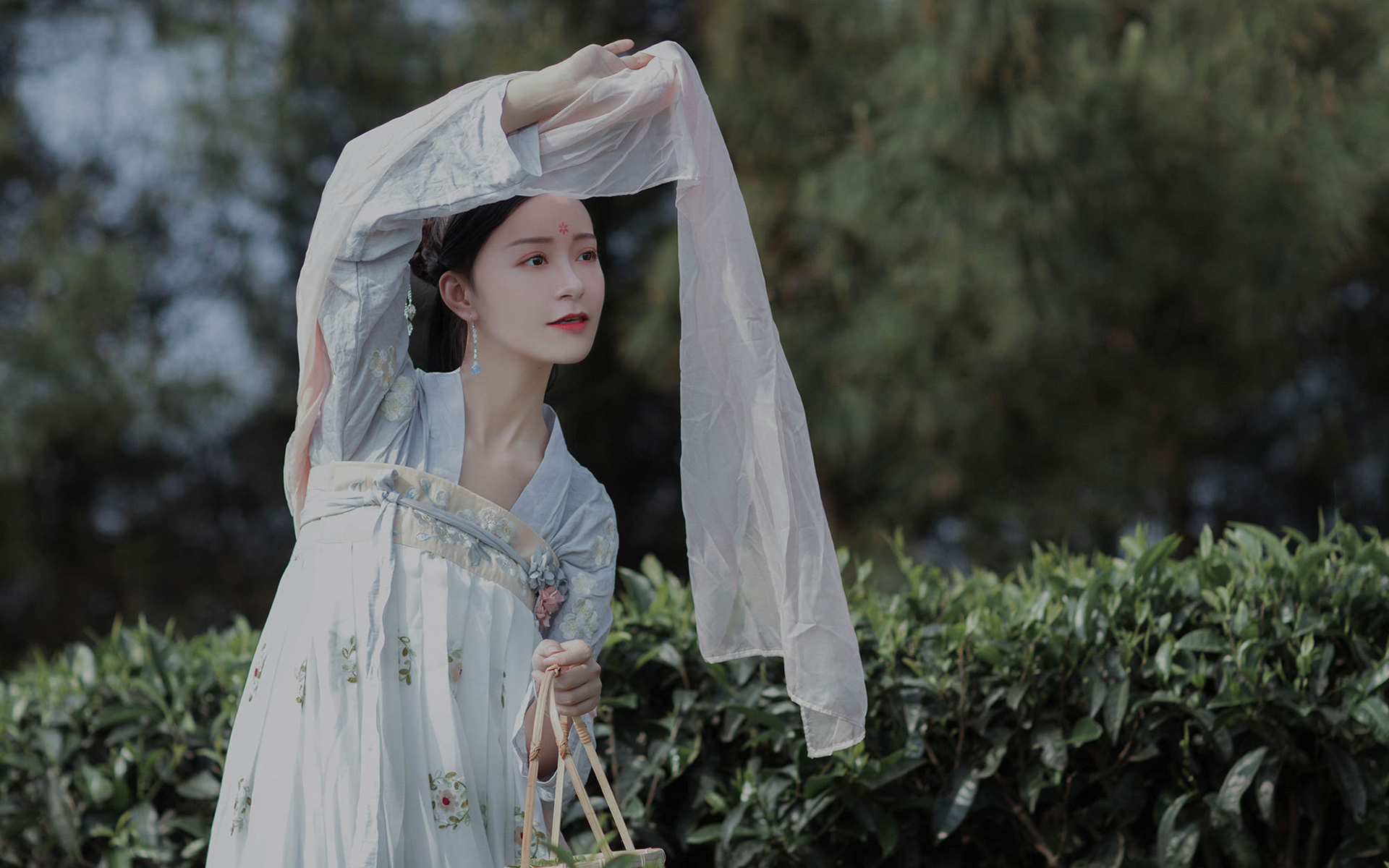 性感古装美女茶园高清桌面壁纸