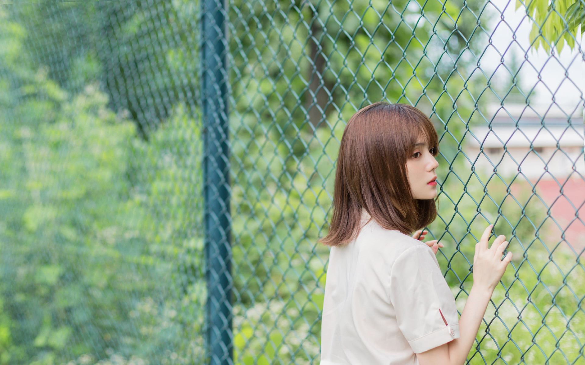 日系甜美制服学生妹高清桌面壁纸