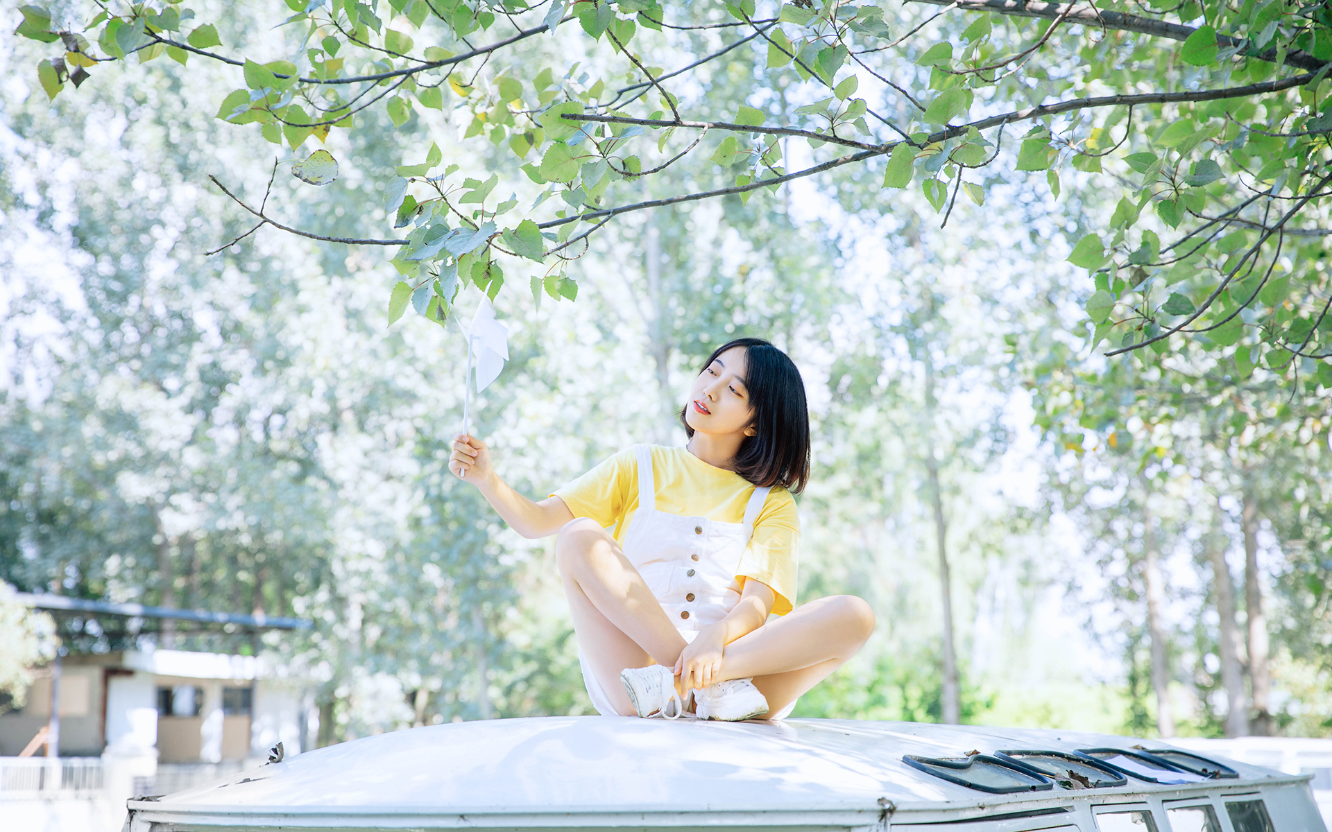 清纯短发美女高清桌面壁纸