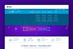 2019最挣钱的方式kangle虚拟主机空间IDC市场销售网站源代码