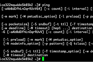 linux ping 命令解析 教程