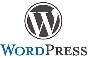 手动更新wordpress5.3版本